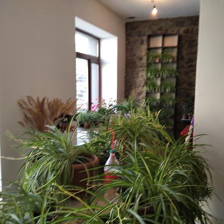 Hotel Aia Kazbegi Zewnętrze zdjęcie