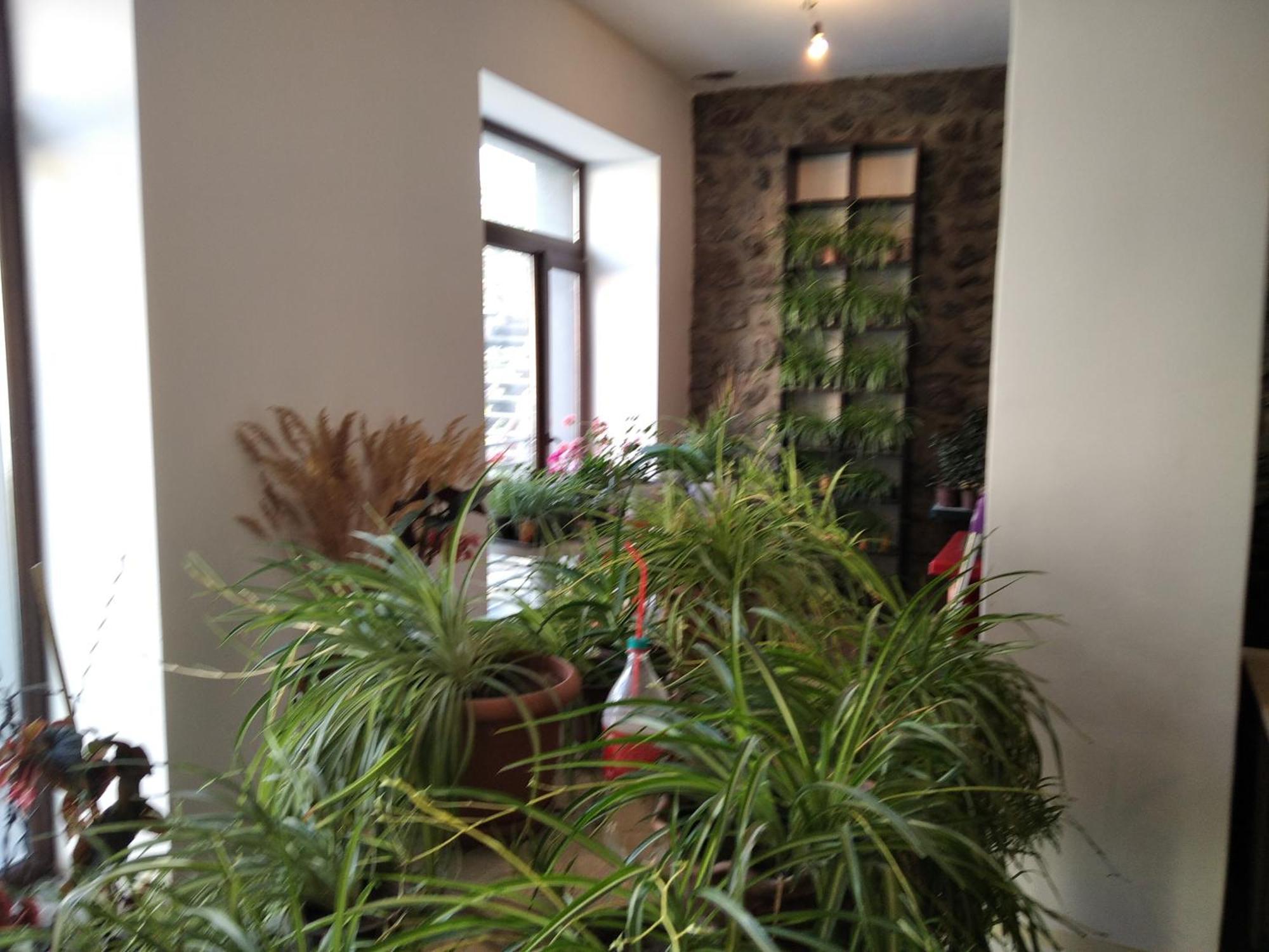 Hotel Aia Kazbegi Zewnętrze zdjęcie